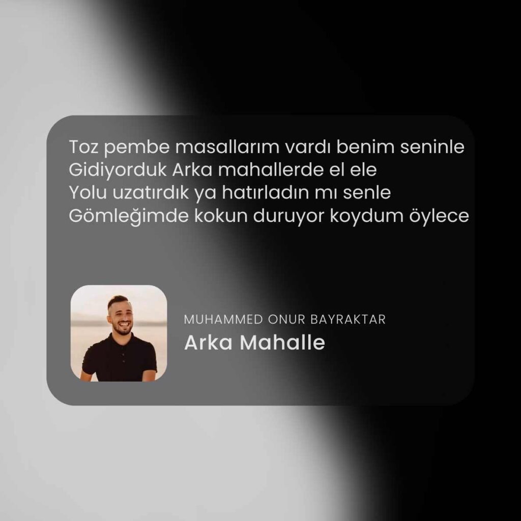 Toz Pembe Masallarim Vardi Benim Seninle Sozleri hakkinda