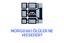 Morgdaki Ölüler Ne Hisseder