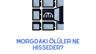 Morgdaki Ölüler Ne Hisseder