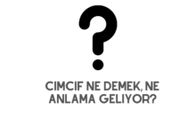 Cimcif Ne Demek, Ne Anlama Geliyor