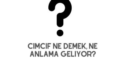 Cimcif Ne Demek, Ne Anlama Geliyor