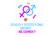 Doggy Pozisyonu Nedir Ne Demek
