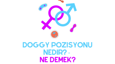 Doggy Pozisyonu Nedir Ne Demek