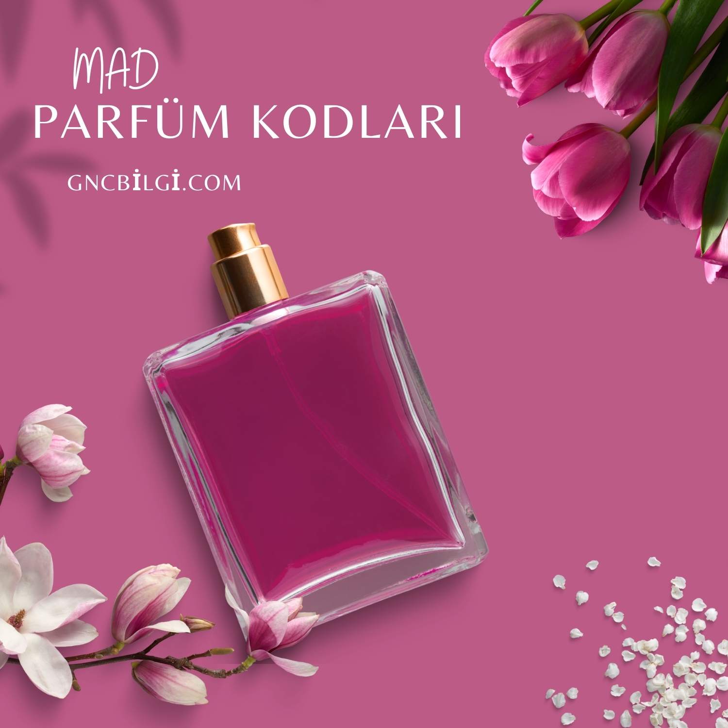 Mad Parfüm Muadil Listesi Kadın ve Erkek Kodları - Gncbilgi