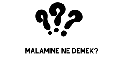 Malamine Ne Demek