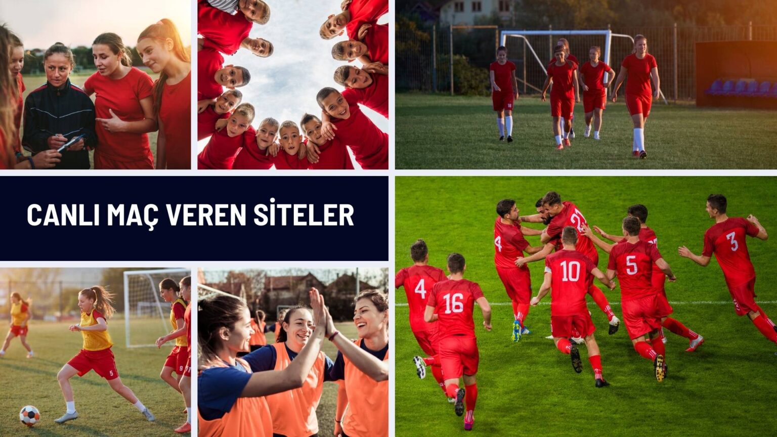 Brandenburg Gate visual data 6