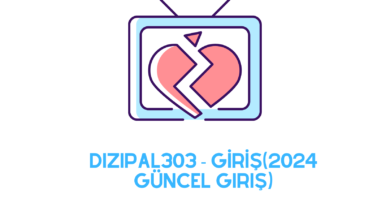 Dizipal303