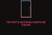 Tiktok'ta En Pahalı Hediye Ne Kadar
