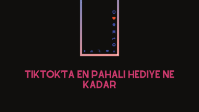 Tiktok'ta En Pahalı Hediye Ne Kadar