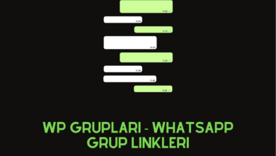 Wp Grupları