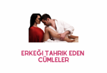 Erkegi Tahrik Eden Cumleler