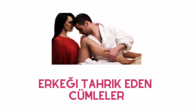 Erkegi Tahrik Eden Cumleler