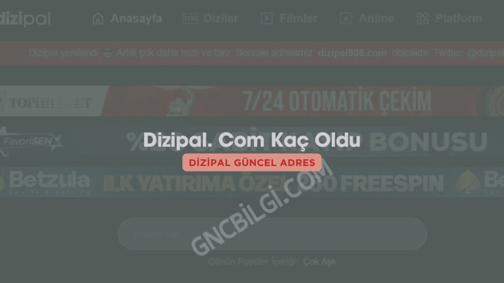 Dizipal Guncel Adres