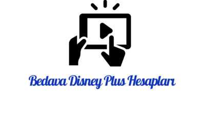 Bedava Disney Plus Hesaplari