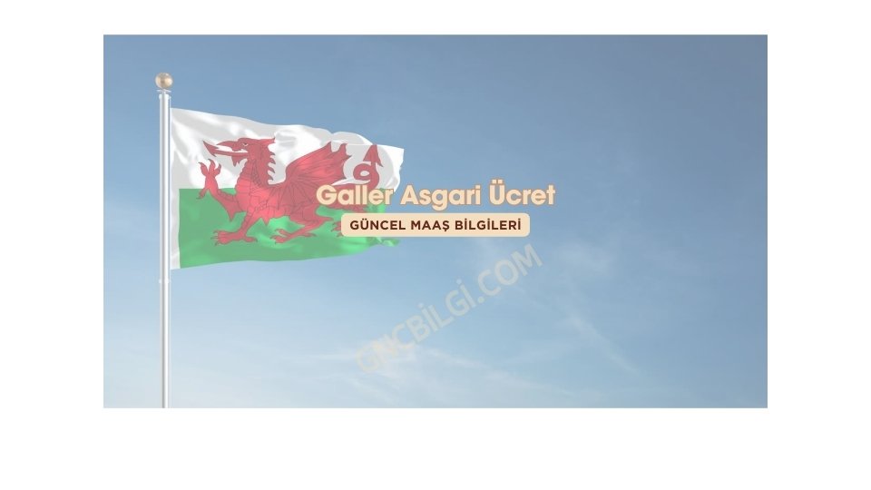 Galler Asgari
