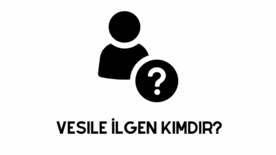 Vesile ilgen Kimdir