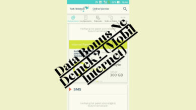 Data Bonus Ne Demek