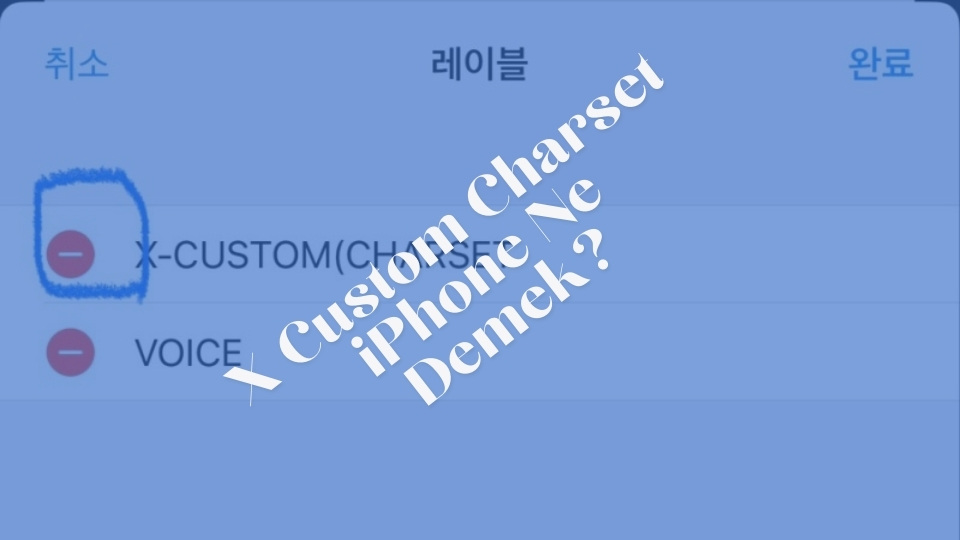 X Custom Charset iPhone