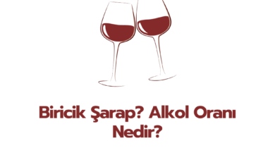 Biricik sarap Alkol Orani Nedir