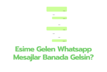 Esinin whatsapp Mesajlarini