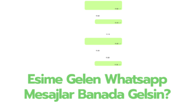 Esinin whatsapp Mesajlarini