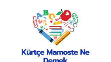 Kurtce Mamoste Ne Demek