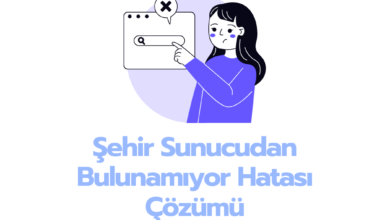 Sehir Sunucudan Bulunamiyor Hatasi