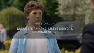 Cagan Efe Ak Hangi Liseye Gidiyor