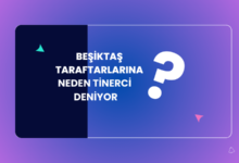 Beşiktas Taraftarlarina Neden Tinerci Deniyor