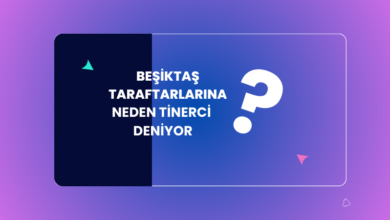 Beşiktas Taraftarlarina Neden Tinerci Deniyor