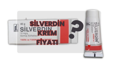 Silverdin Krem Fiyati