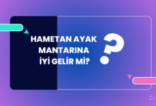 Hametan Ayak Mantari