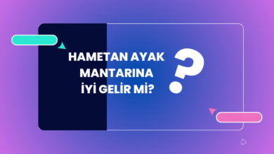 Hametan Ayak Mantari