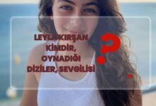 Leyla Krsan Kimdir, Oynadigi Diziler,