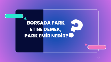 Park Emir Nedir