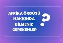 Afrika ogusu Hakkinda