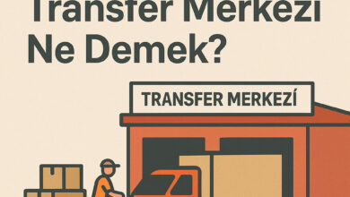 Kargo Varis Transfer Merkezi Ne Demek