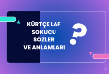 kurtce Laf Sokucu Sozler ve Anlamlari
