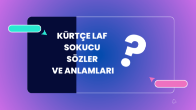kurtce Laf Sokucu Sozler ve Anlamlari