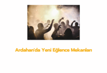 Ardahanda Yeni Eglence Mekanlari