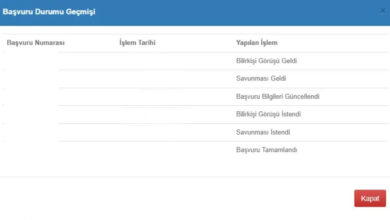 Bilirkisi Gorusu istendi