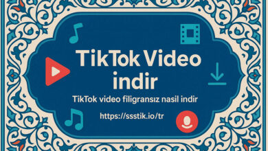 TikTok Filigransız Video indirme