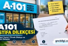 A101 İstifa Dilekçesi Doğru Dilekçe
