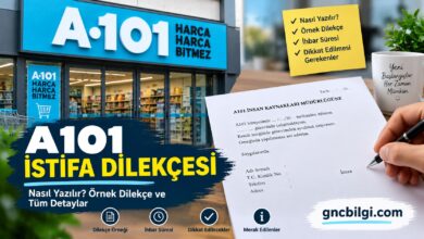A101 İstifa Dilekçesi Doğru Dilekçe