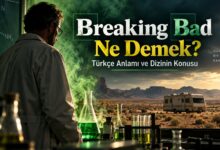Breaking Bad Ne Demek