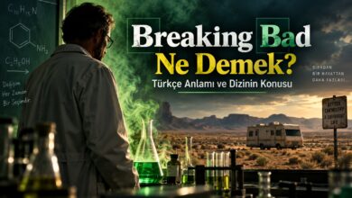 Breaking Bad Ne Demek